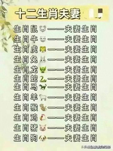 蛇年出生男性最佳婚配指南