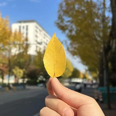 探索1分快三的页版魅力